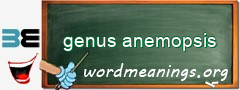 WordMeaning blackboard for genus anemopsis